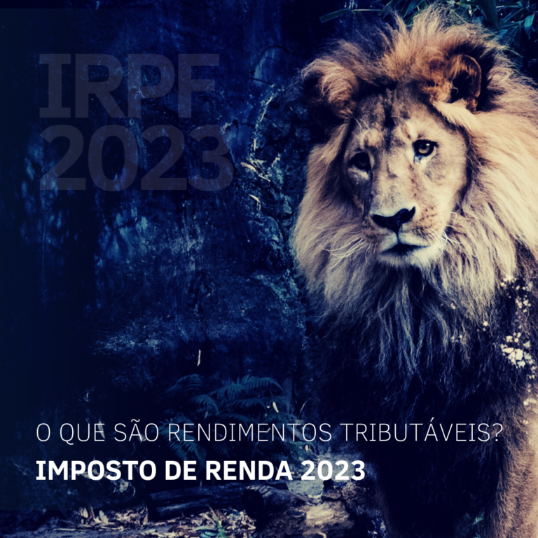 Irpf 2023 - Contabilidade no Rio de Janeiro | Bravin Ferreira Contabilidade