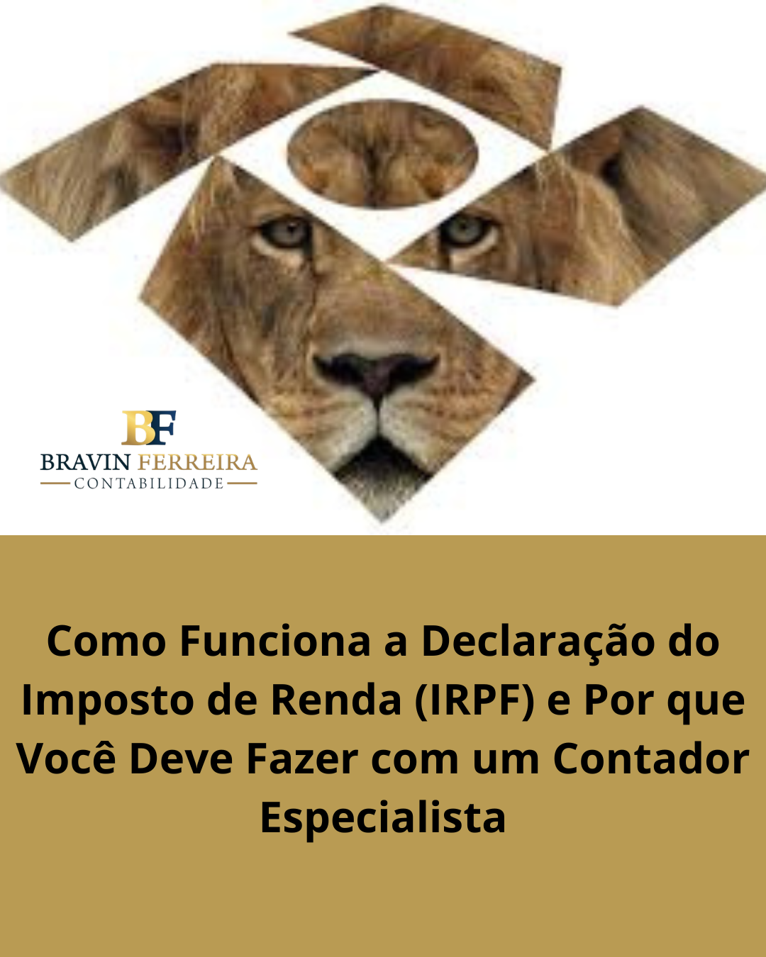 Como Funciona A Declaração Do Imposto De Renda (irpf) E Por Que Você Deve Fazer Com Um Contador Especialista (2) - Contabilidade no Rio de Janeiro | Bravin Ferreira Contabilidade